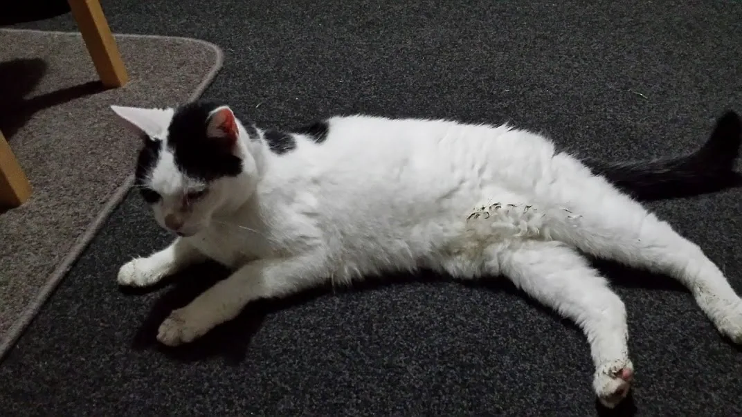 D18 marshall is back at 3am 18 april 2018 (2)